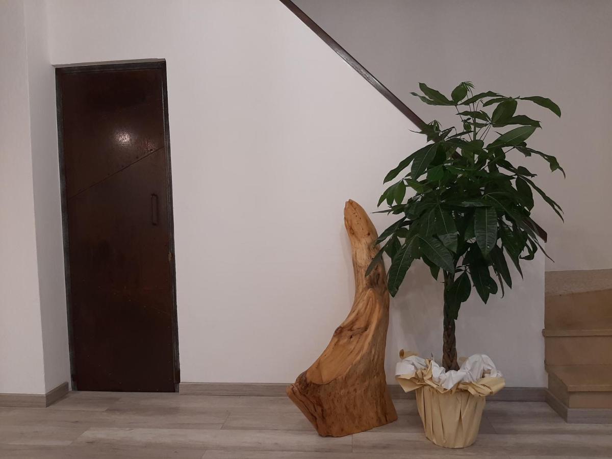 B&B Da Baba Ghizzano Luaran gambar